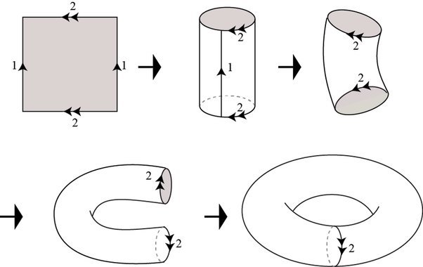 wrap_torus1.jpg